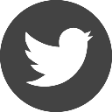 social media logo: Twitter